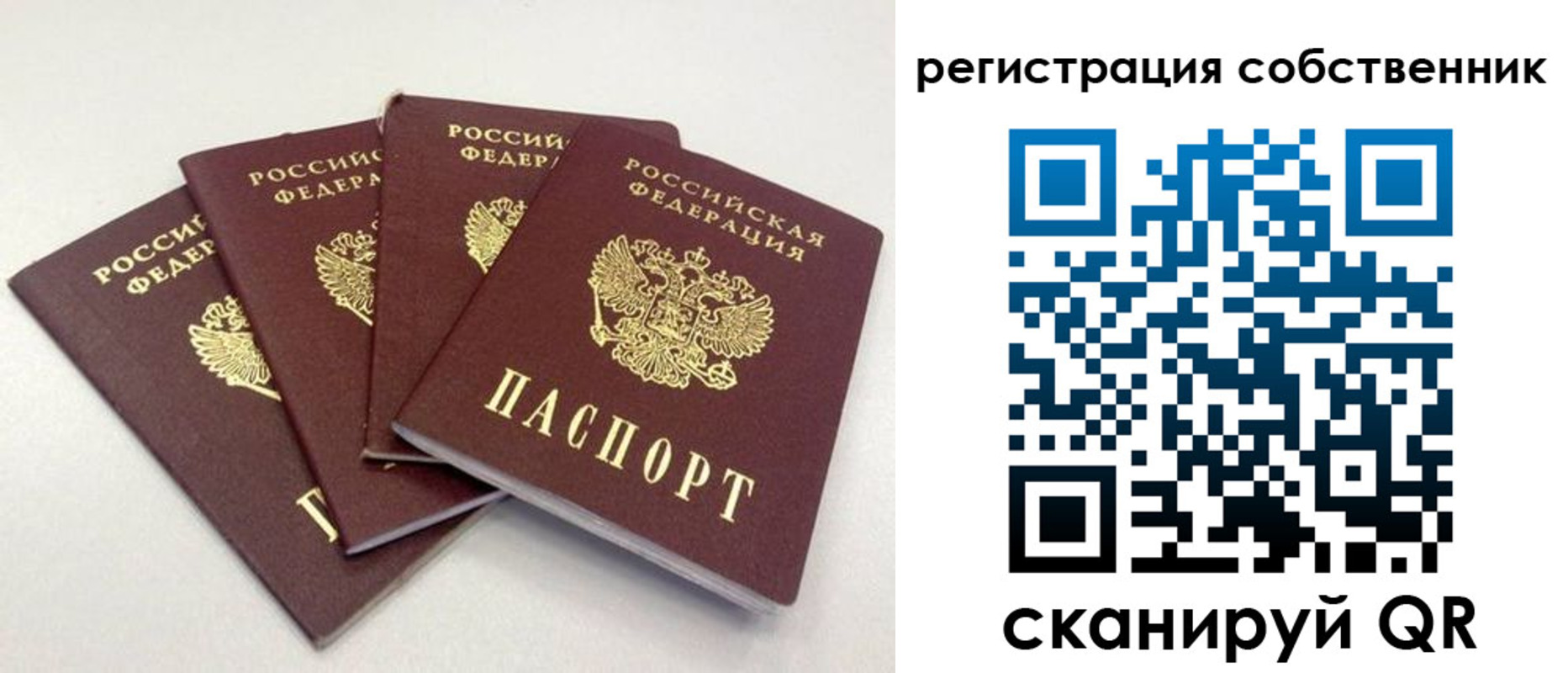 прописка для школы в Курчалом