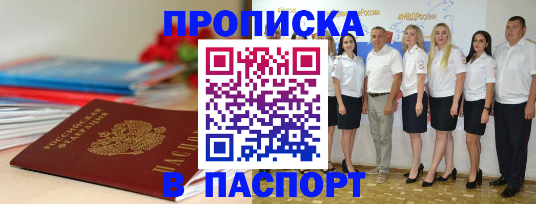 временная регистрация для всех в Курчалом